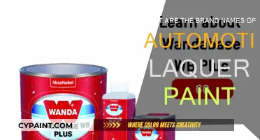 Automotive Lacquer Paint: Brand Names and Their Quality