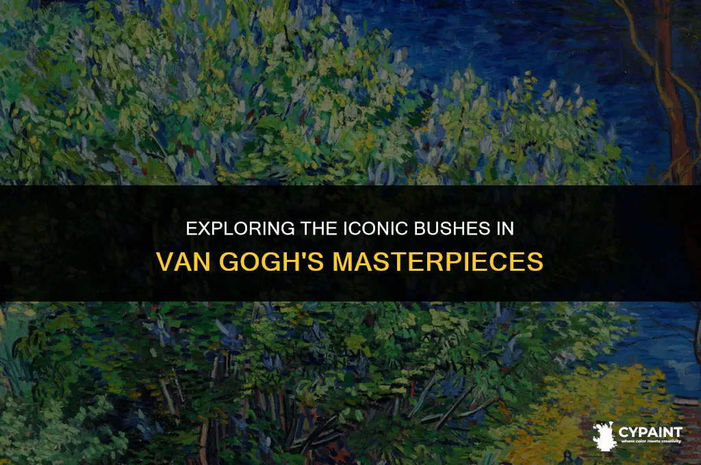what are the bushes in van gogh
