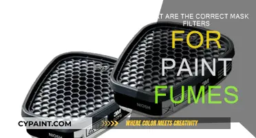 Protecting Yourself: Choosing the Right Mask Filter for Paint Fumes