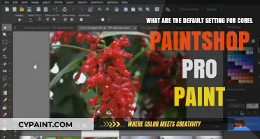 Exploring Corel PaintShop Pro's Default Settings for Optimal Painting