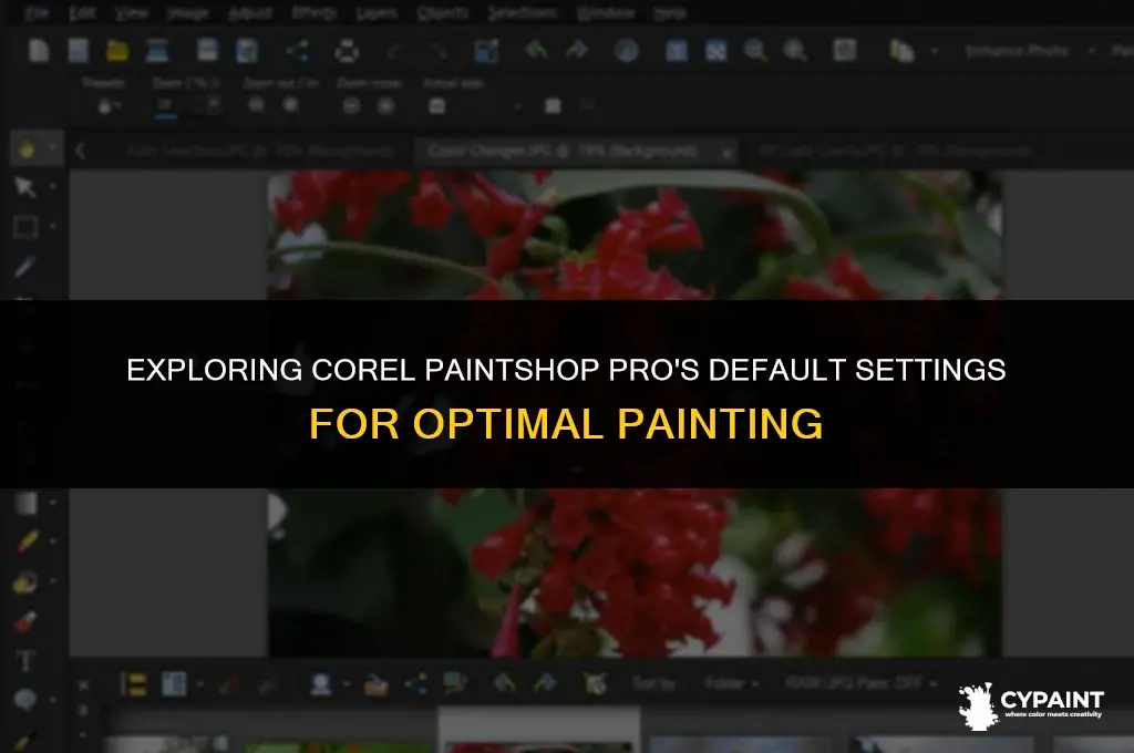 what are the default setting for corel paintshop pro paint