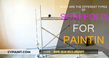 Scaffolding for Painting: Know Your Options
