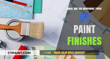 Exploring Various Paint Finishes: Types, Uses, and Best Applications