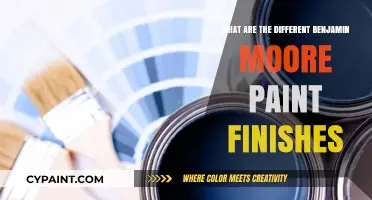 Benjamin Moore Paint Finishes: A Guide to Sheen and Texture