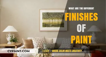 Exploring Paint Finishes: Types, Textures, and Best Uses for Walls