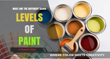 Exploring Paint Gloss Levels: From Matte to High-Gloss Finishes