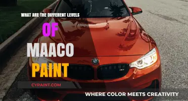 Exploring Maaco Paint Levels: Quality, Durability, and Cost Options