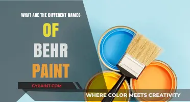 Exploring Behr Paint: A Guide to Its Various Brand Names