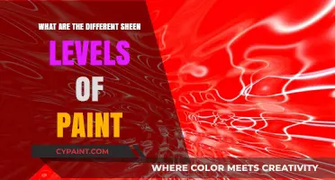 Exploring Paint Sheen Levels: From Matte to High-Gloss Finishes
