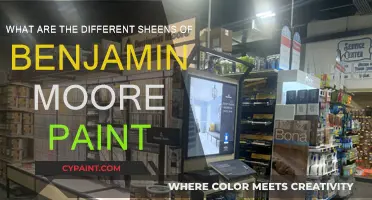 Explore Benjamin Moore's Paint Sheen Options