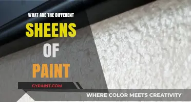 Exploring Paint Sheens: From Matte to High-Gloss Finishes