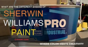 Explore Sherwin-Williams Paint Sheen Options