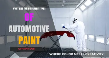 Exploring the Diverse World of Automotive Paint Types and Finishes