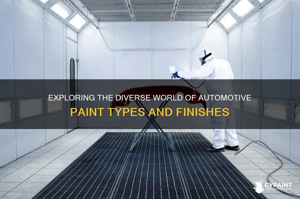 what are the different types of automotive paint