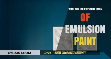 Exploring Various Types of Emulsion Paint for Walls and Surfaces