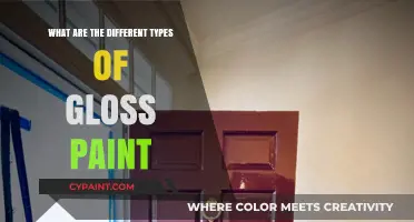 Exploring Gloss Paint Varieties: Types, Finishes, and Best Uses