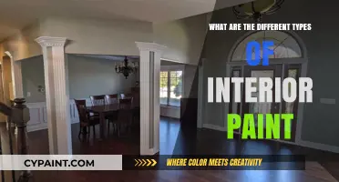 Exploring Various Interior Paint Types for Your Home Makeover