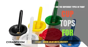 Exploring Paint Cup Tops: A Guide to Types and Uses