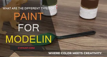 Explore the Best Paints for Model Making