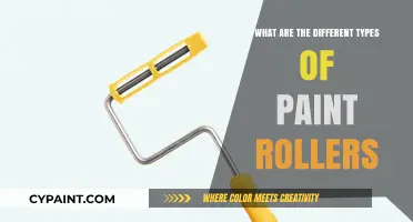 Exploring Various Paint Roller Types for Every Painting Project