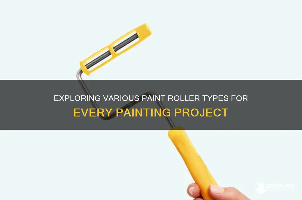 what are the different types of paint rollers