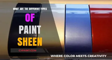 Exploring Paint Sheen Types: From Matte to High-Gloss Finishes