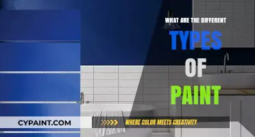 Exploring Various Types of Paint for Every Artistic and DIY Need