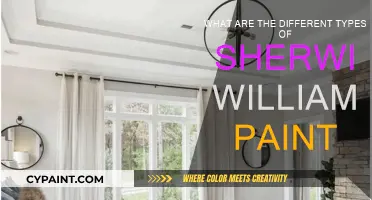 Explore Sherwin-Williams Paint Types for Your Project