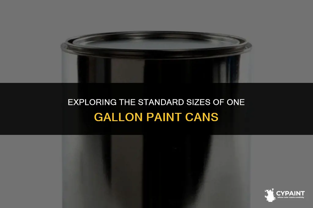 what are the dimensions of a 1 gallon paint can