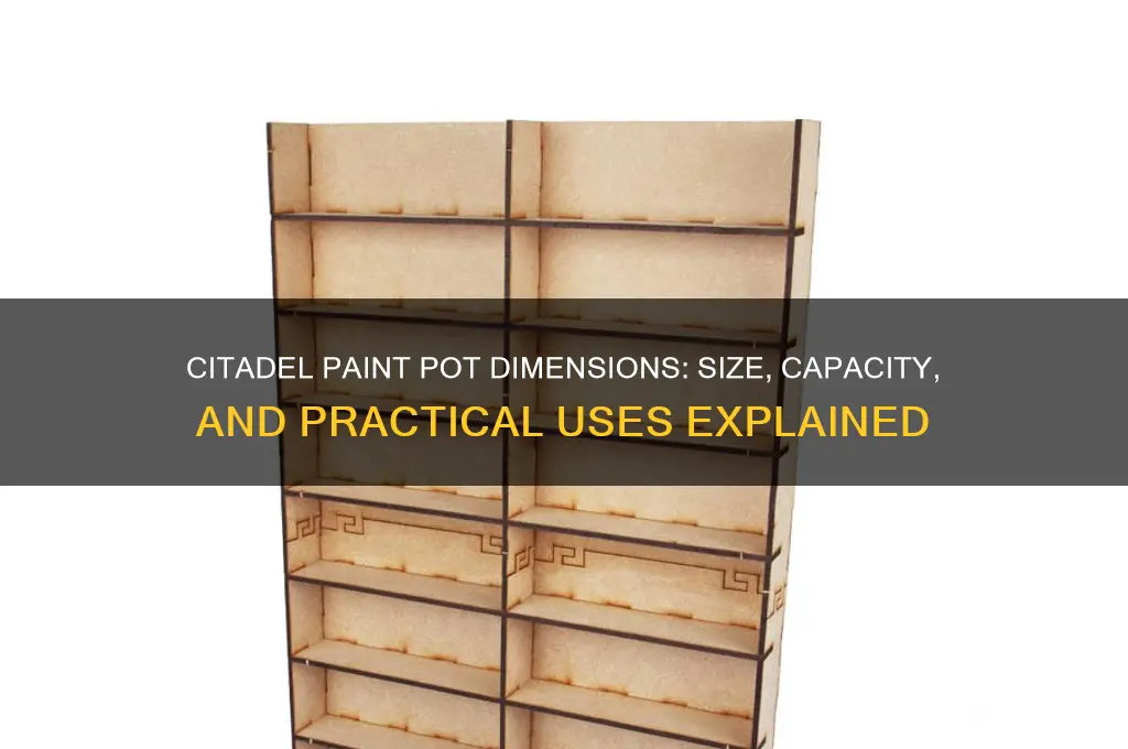 what are the dimensions of citadel paint pot