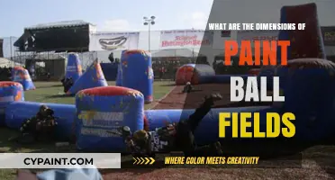 Exploring Paintball Field Dimensions: Size, Layout, and Design Essentials