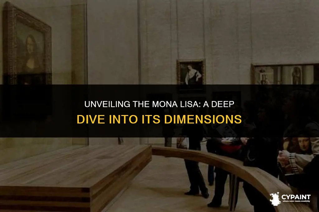 what are the dimensions of the original mona lisa painting