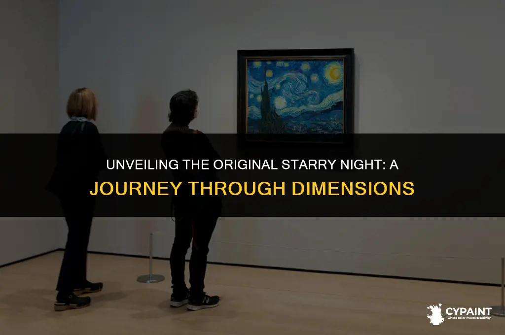 what are the dimensions of the original starry night painting