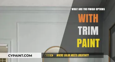 Enhance Your Trim: Exploring Finish Options with Trim Paint