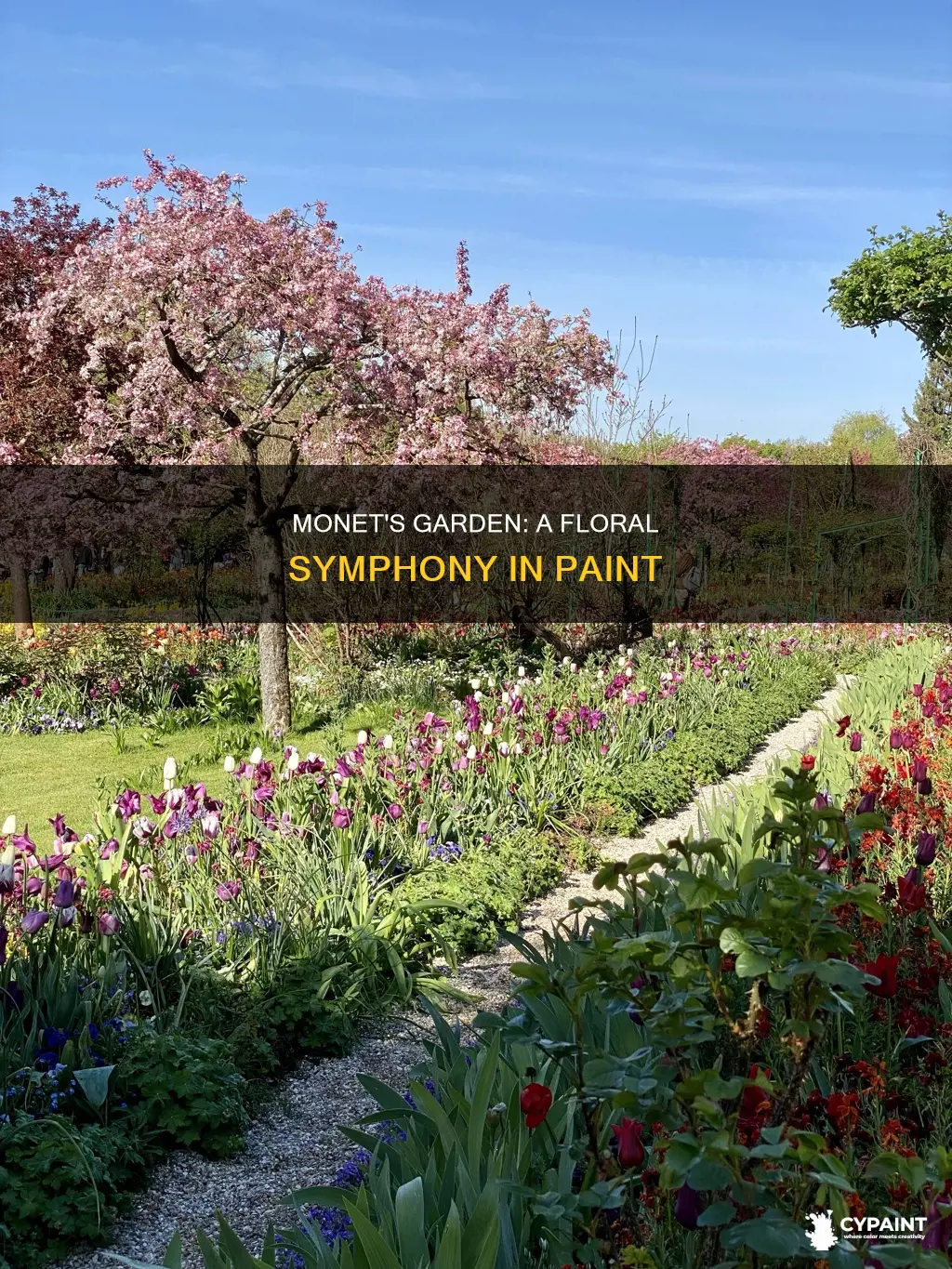 what are the flowers in monet