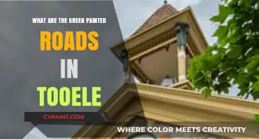 Tooele's Green Painted Roads: Purpose, Benefits, and Environmental Impact Explained