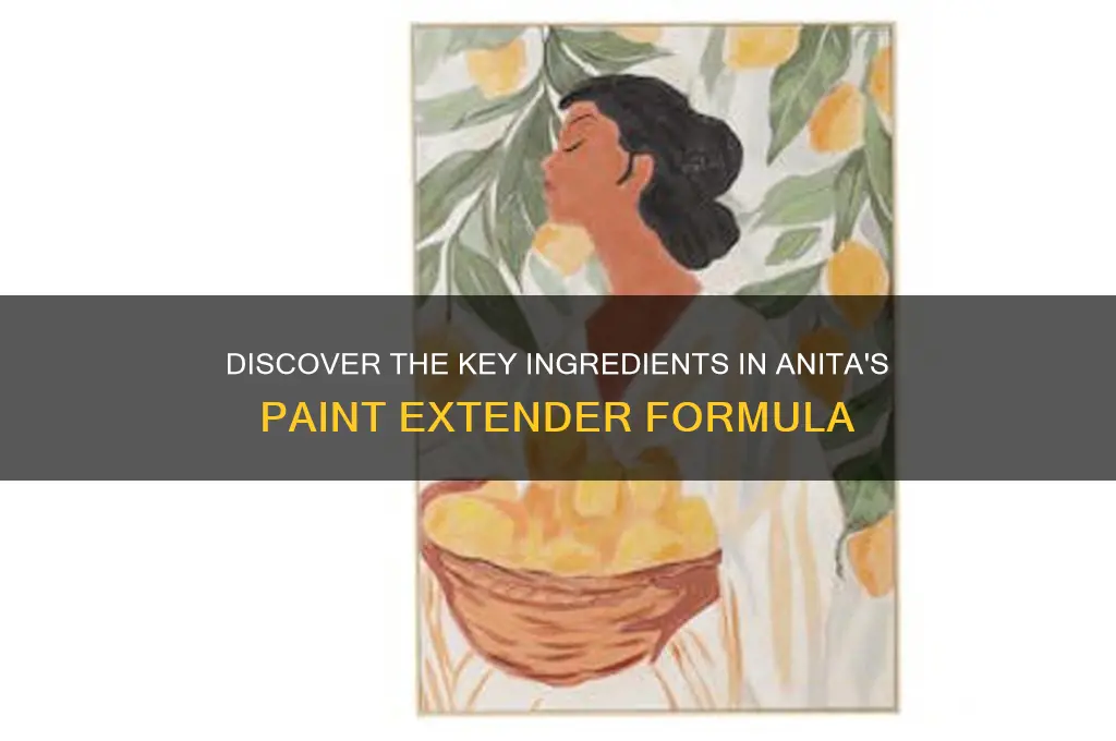 what are the ingredients in anitas paint extender
