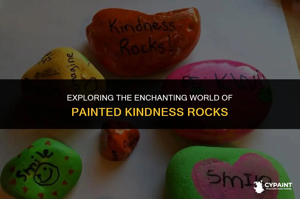 what are the little painted rocks that i keep seeing