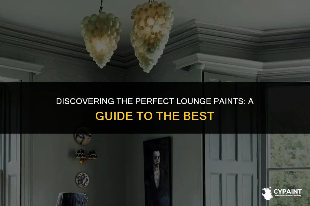 what are the lounge paints called starts with letter d