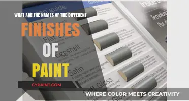 Exploring Paint Finishes: A Guide to Sheen and Texture Options