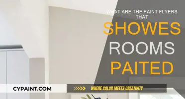Transforming Spaces: Paint Flyer Room Makeovers