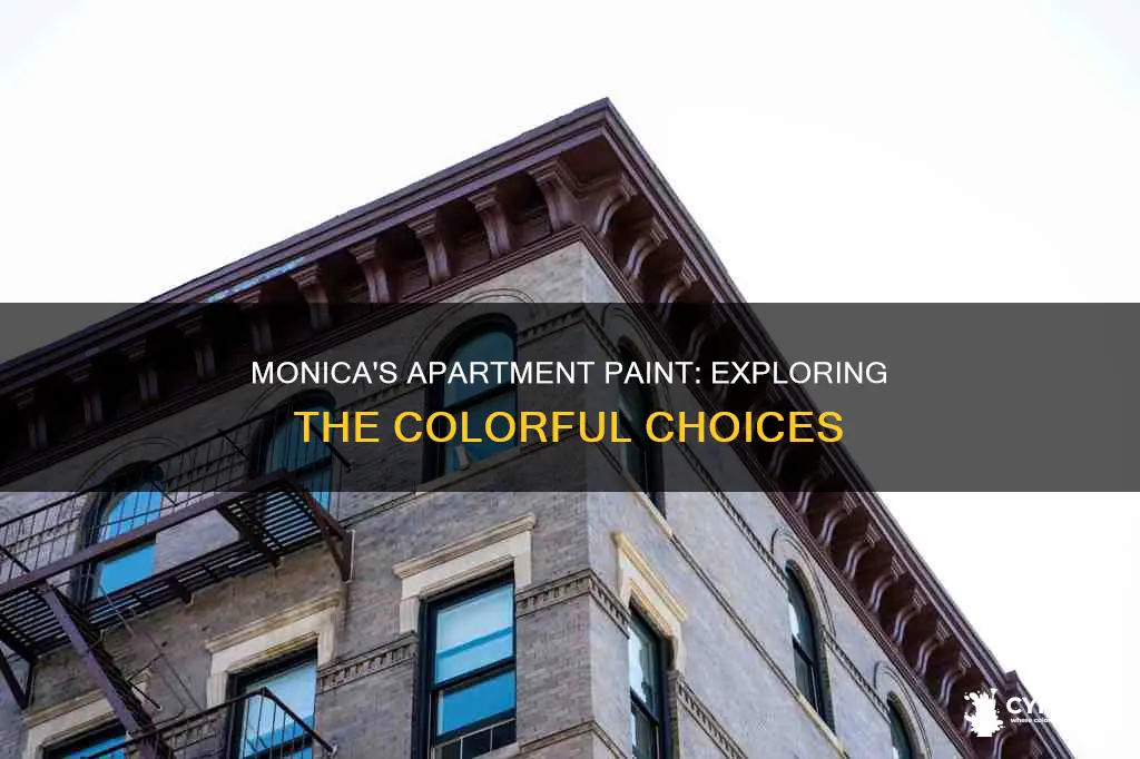 what are the paint types on monics