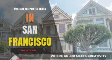 San Francisco's Painted Ladies: Iconic Victorian Homes Explained