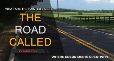 Road Markings: What Are Those Painted Lines?