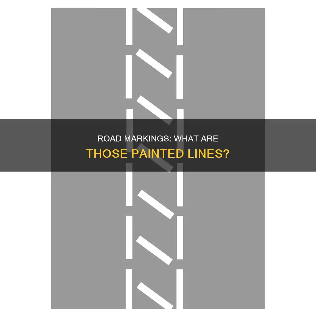 what are the painted lines on the road called