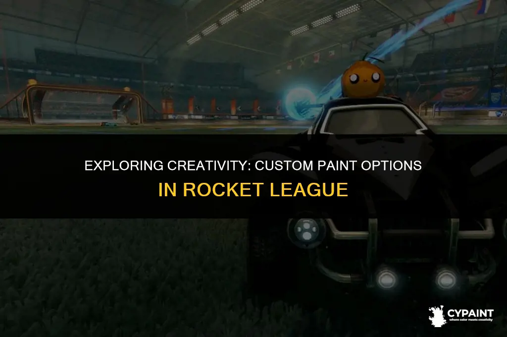 what are the possible painted items in the rocket league