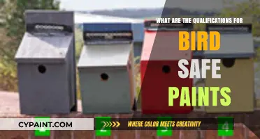 Choosing Bird-Safe Paints: Essential Qualifications for Avian Well-being