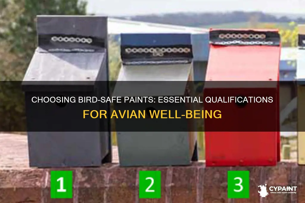 what are the qualifications for bird safe paints
