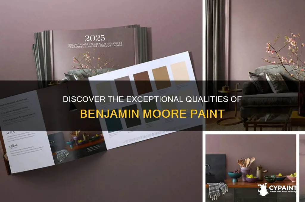 what are the qualities of benjamine moore paint