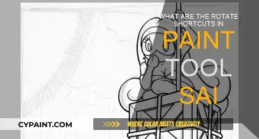 Paint Tool SAI Rotate Shortcuts: Master These Quick Tips